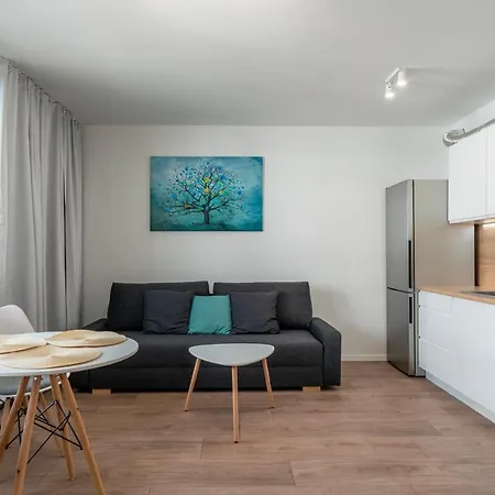 Apartamento 41